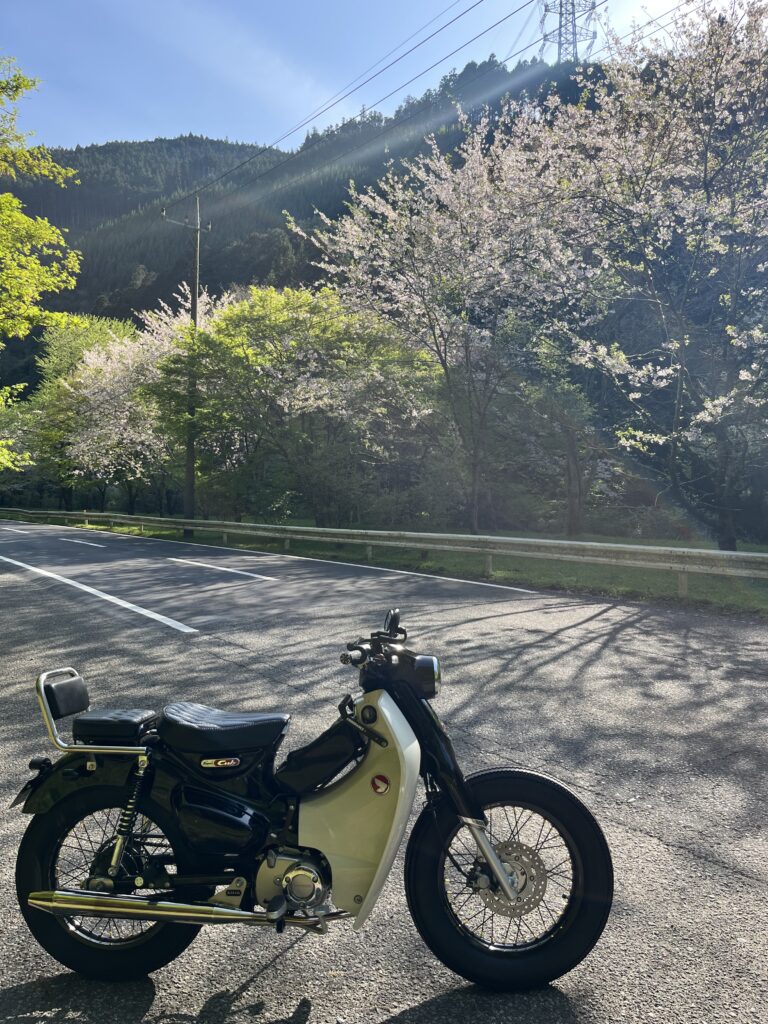 ZEEKクラシックスポーツマフラー静蘭【SEIRAN】 | ZEEK JAPAN